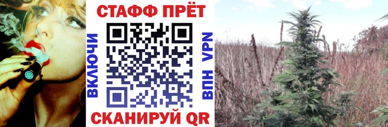 Где купить наркотики Брюховецкая ГАШ  COCAIN  Codein  Марихуана  Мефедрон 