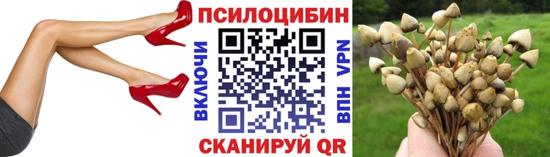 Галлюциногенные грибы мицелий где продают наркотики Брюховецкая